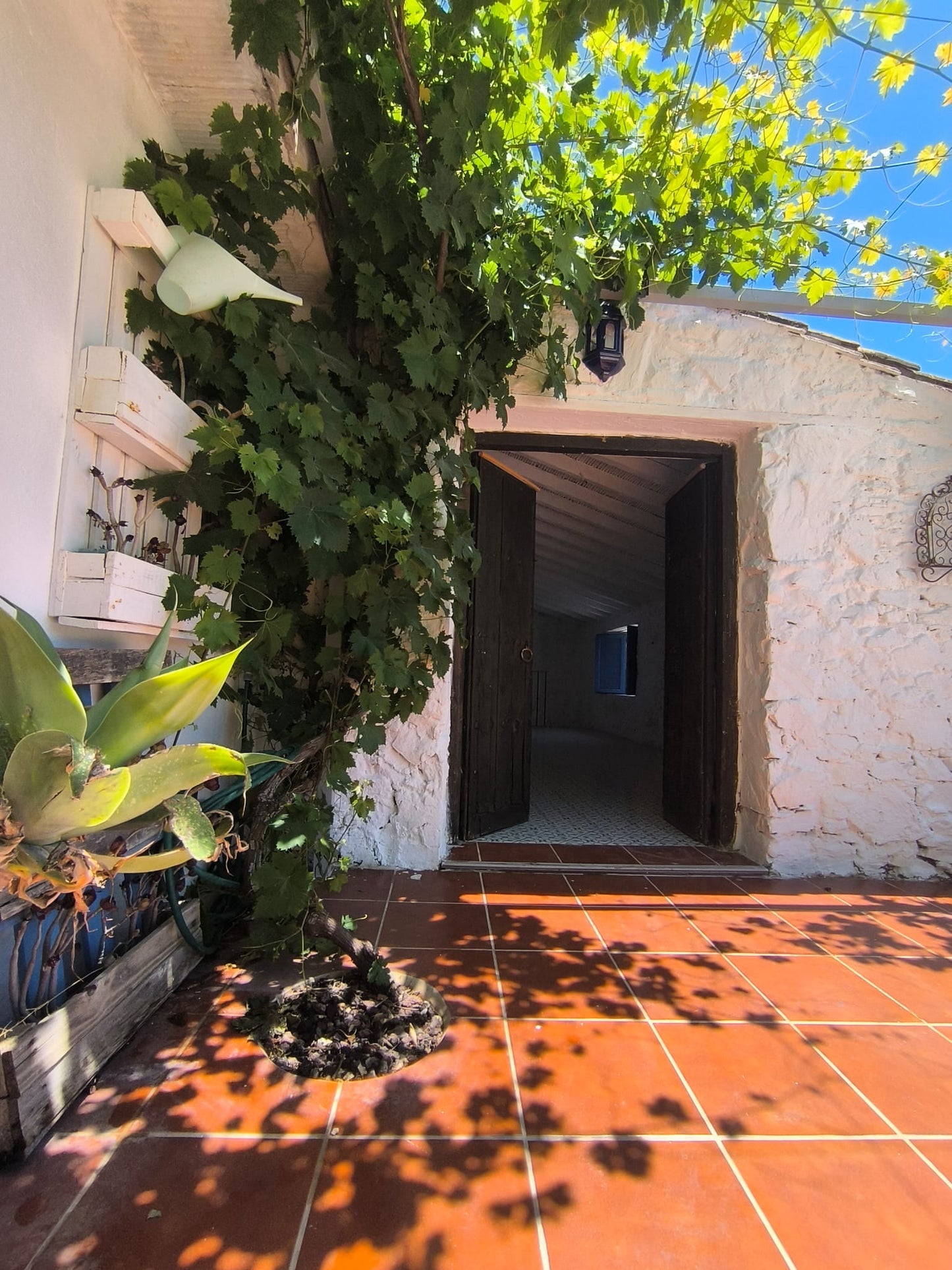 Rincon de la Victoria - Finca rústica en venta