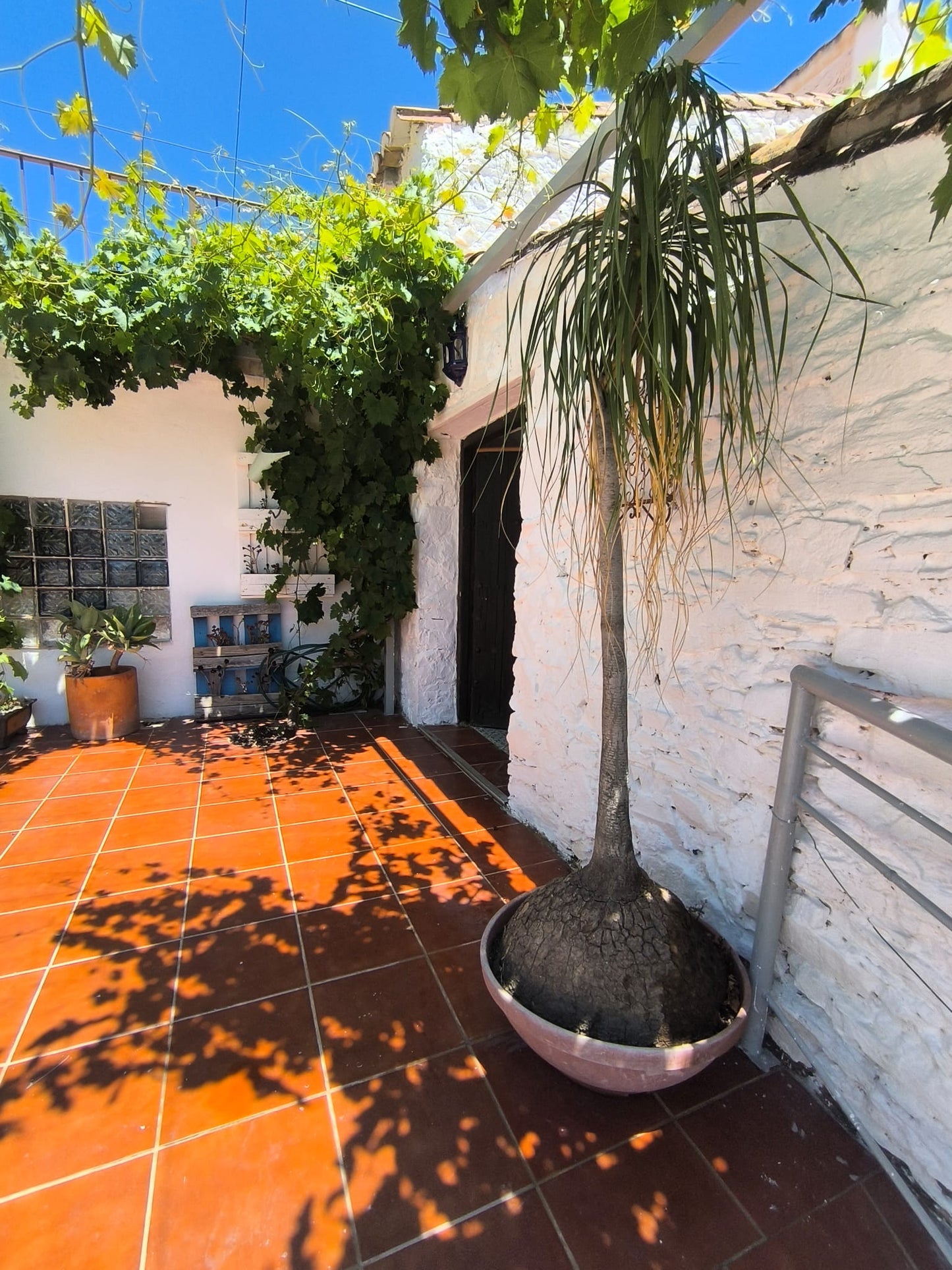 Rincon de la Victoria - Finca rústica en venta