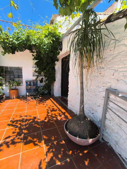 Rincon de la Victoria - Finca rústica en venta