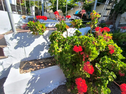 Rincon de la Victoria - Finca rústica en venta