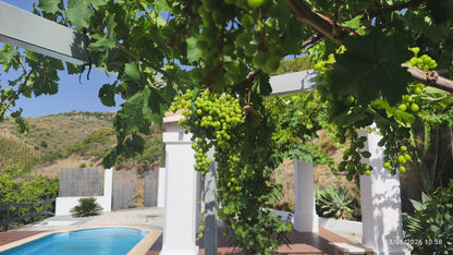 Rincon de la Victoria - Finca rústica en venta
